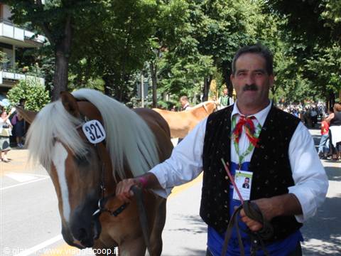 Sfilata per le vie di Merano 11
