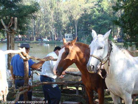 Patria Gaucha.