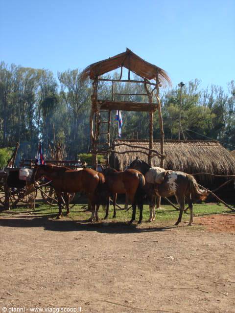 Patria Gaucha.