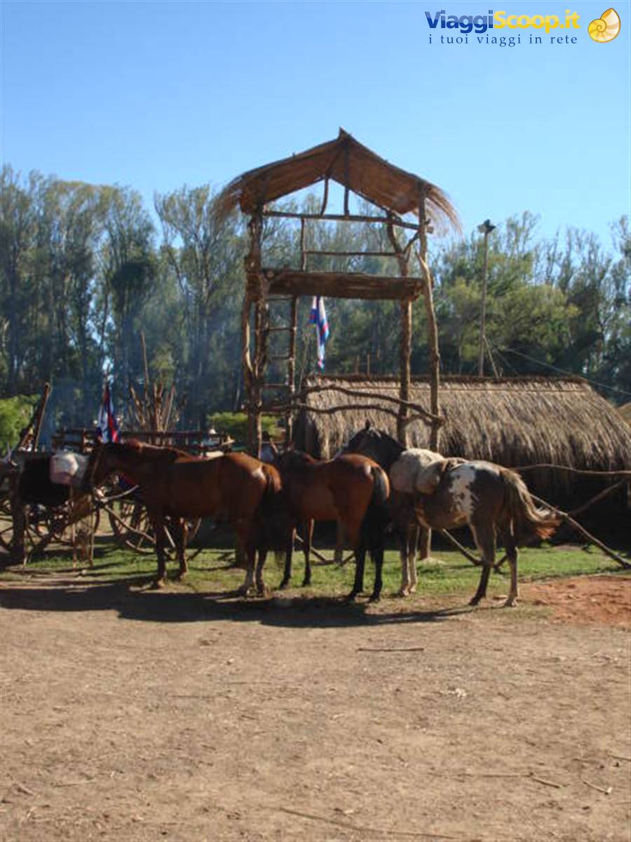 Patria Gaucha.
