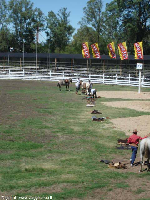 Prova di velocità nel sellare il cavallo.