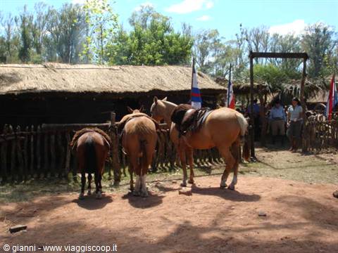Patria Gaucha.