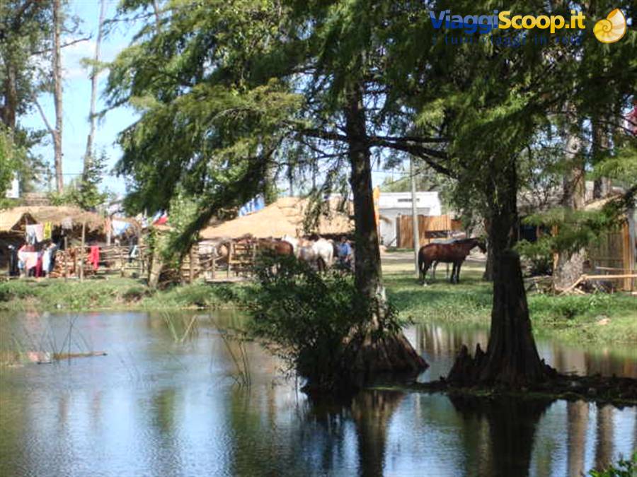 Particolare della "Laguna de las lavanderas".