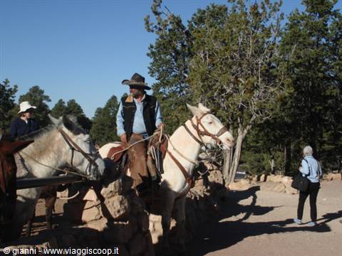 Grand Canyon: ore 07,00 inizia la discesa verso il fondovalle a dorso di mulo.