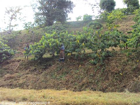 Madagascar, il respiro della terra