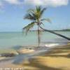 Samana Spiaggia REPUBBLICA DOMINICANA 