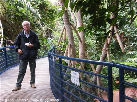 Botanic Garden