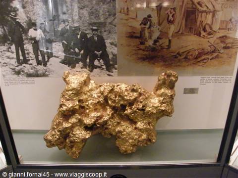 Australian Museum Pepita d'oro