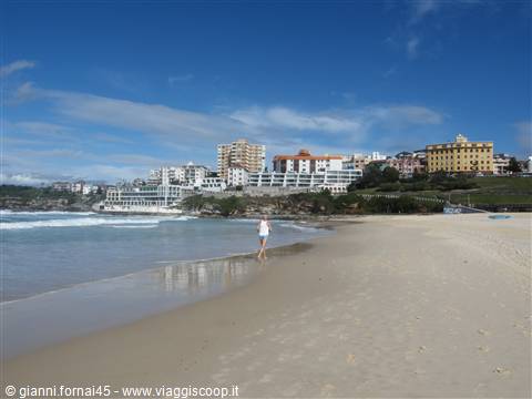 Bondi Beach