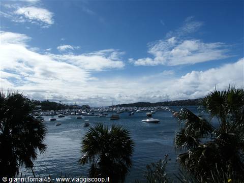 Rose Bay