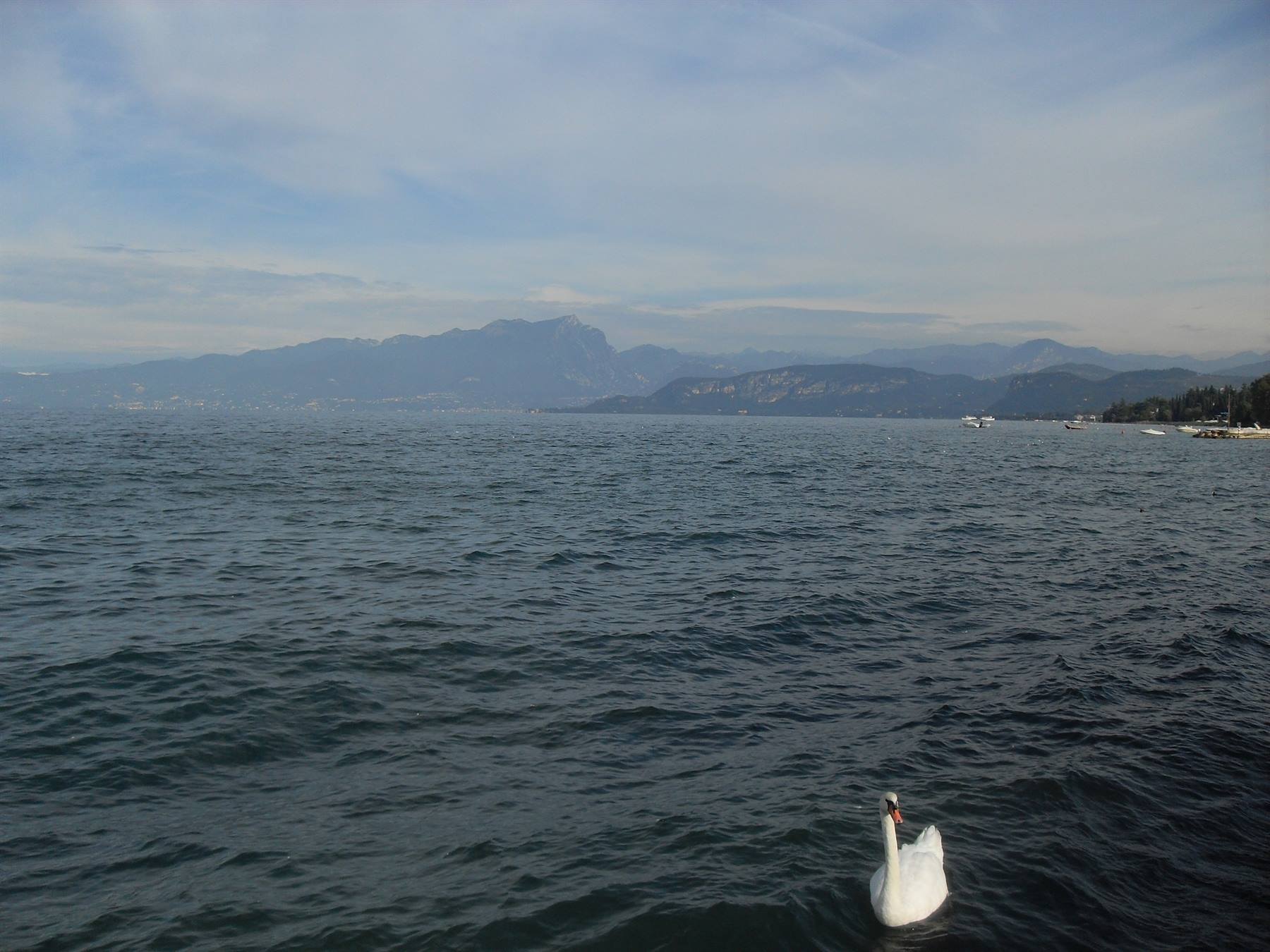 Foto di viaggio in ITALIA