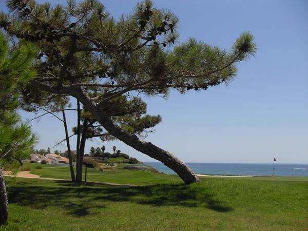 Vale de Lobo