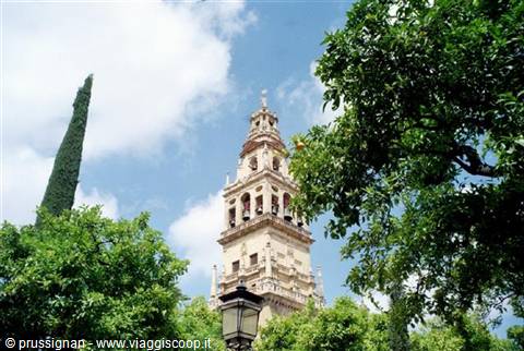 Torre