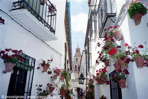 Juderia-quartiere ebraico
