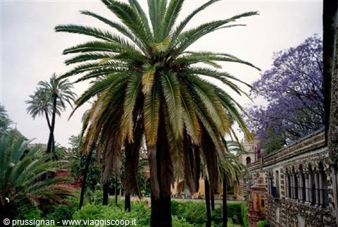 Tour dell'Andalusia 4