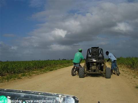 Dune Buggy fra le canne