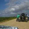 Dune Buggy fra le canne REPUBBLICA DOMINICANA 