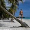 palme a Saona REPUBBLICA DOMINICANA 