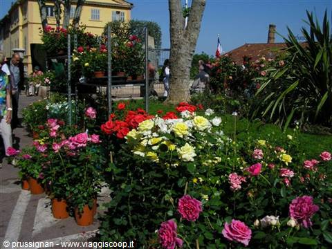 festival delle rose a Grasse