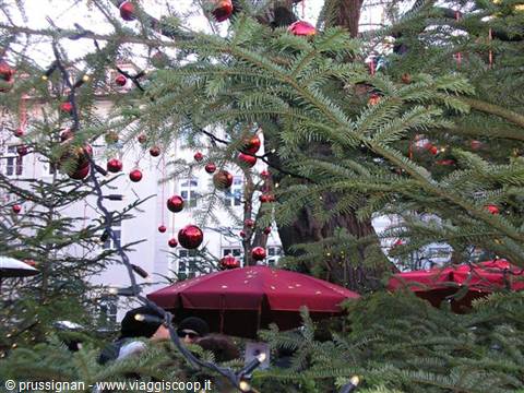 bere qualcosa sotto gli alberi