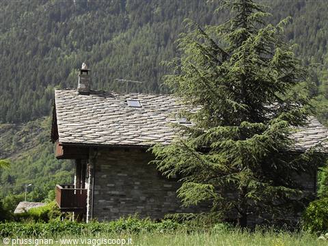 casa con il tetto ricoperto da "lose"