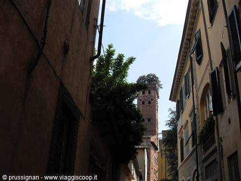 torre Guinigi