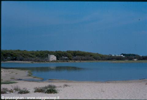 Porto Cesareo isola dei Conigli