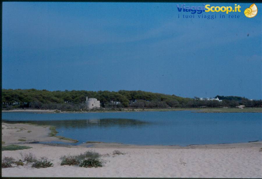 Porto Cesareo isola dei Conigli