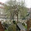 Cimitero ebraico REPUBBLICA CECA 