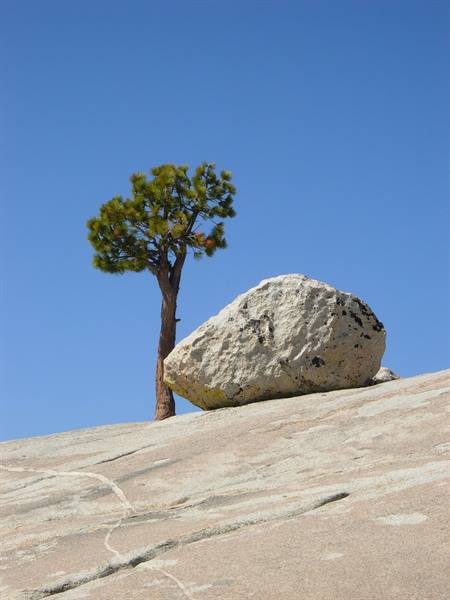 Lungo la Tioga Pass Road - Yosemite National Park 