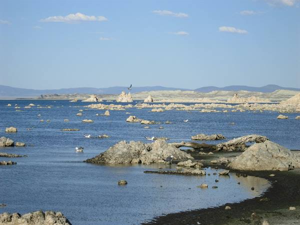 Mono Lake