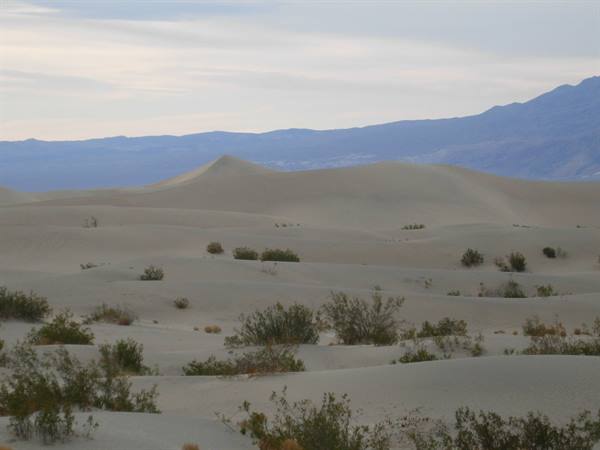 Dune di sabbia - Death Valley