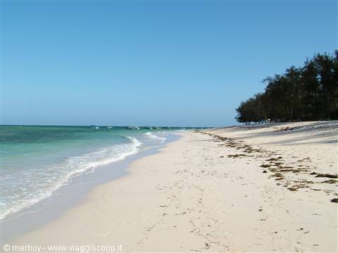 Malindi - parco marino
