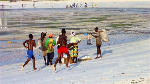 Watamu: ginnastica mattutina