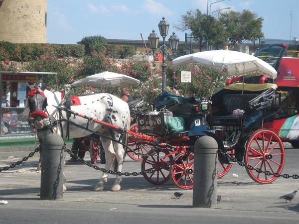 Tipica carrozza