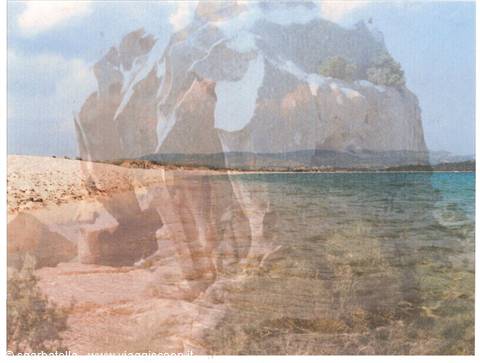 capod'orso nel suo mare