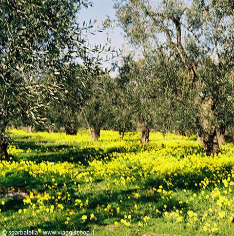 giro turistico nel GARGANO