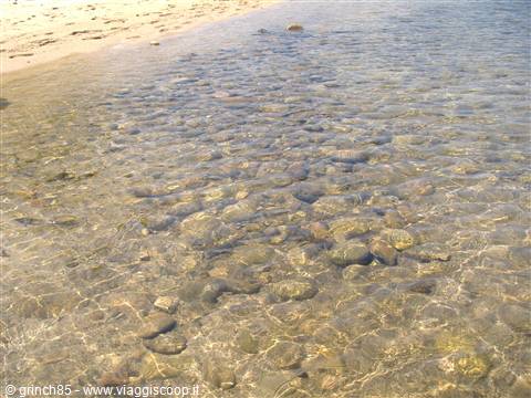 IL MARE DELLA PALOMBAGGIA