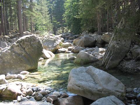 LA VALLE DELLA RESTONICA