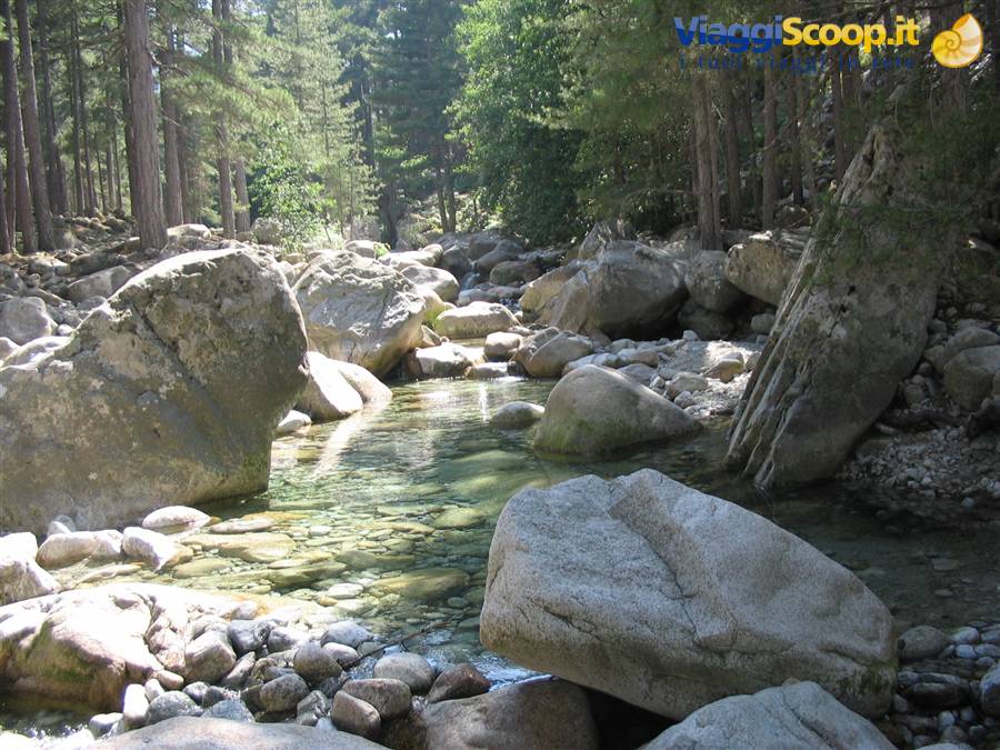 LA VALLE DELLA RESTONICA