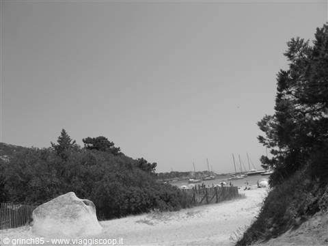 LA SPIAGGIA DI ROCCAPINA