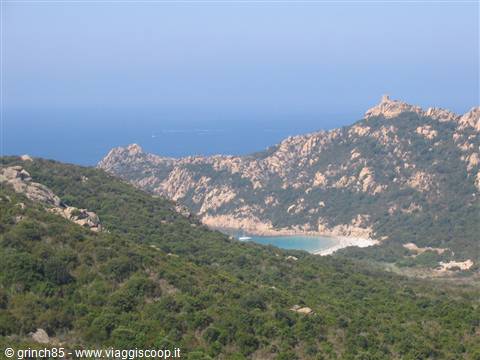 IL FANTOMATICO LEONE DI ROCCAPINA (FORSE)