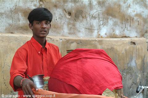Splendori del Rajasthan