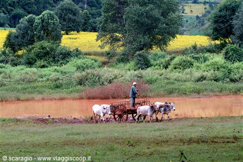 campagne intorno a Kalaw