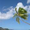 Bora Bora POLINESIA FRANCESE 