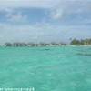 Tikehau POLINESIA FRANCESE 