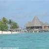 Tikehau POLINESIA FRANCESE 