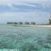 Tikehau POLINESIA FRANCESE 