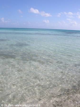 Tikehau