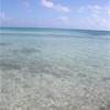 Tikehau POLINESIA FRANCESE 